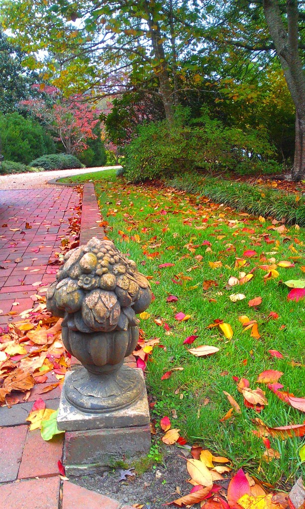 Driveway Pavers