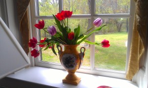 Nothing like a gorgeous vase and tulips