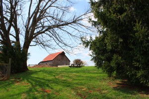 view from behind cottage barns