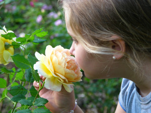 1 Caroline in the garden 562010