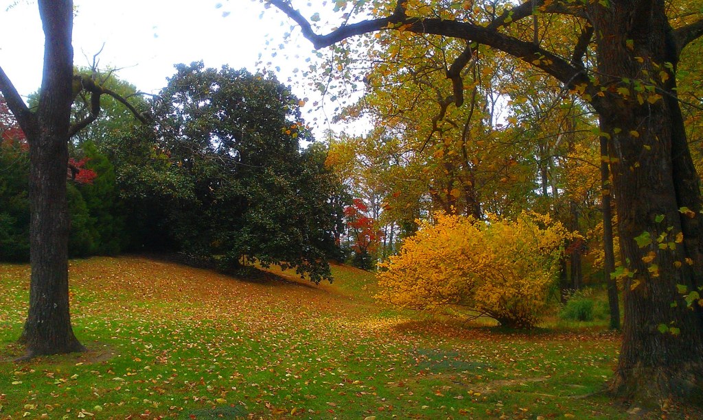 Autumn Glory Carousel