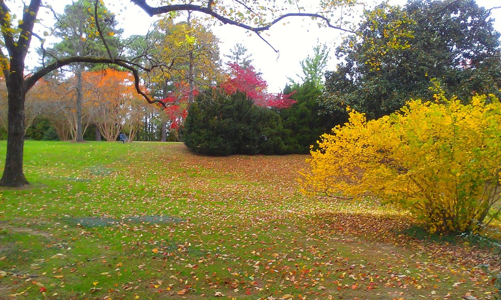 autumn grounds Carousel