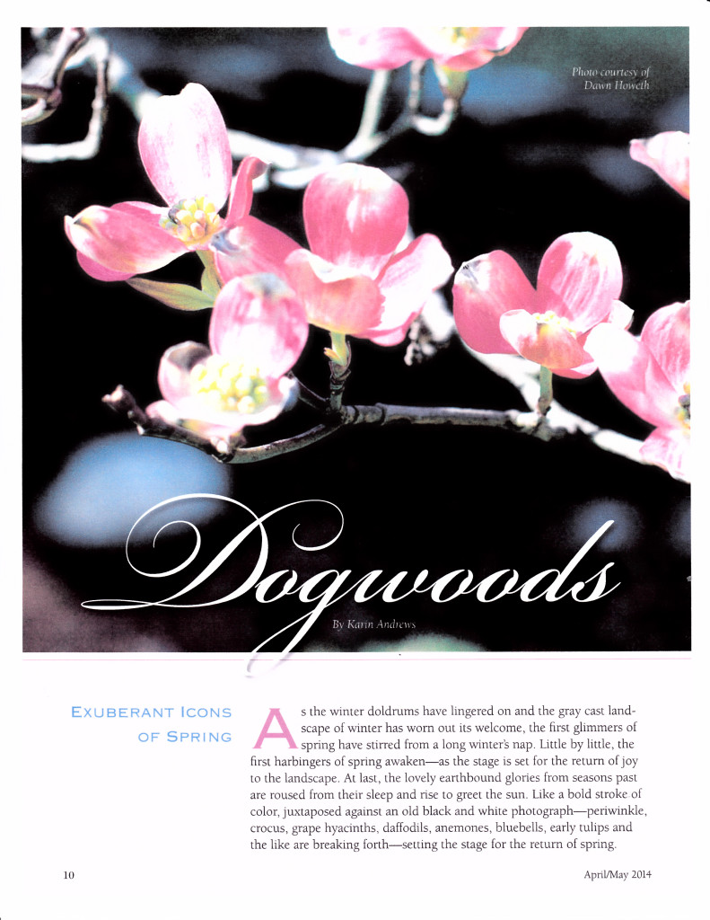 dogwoods by Karin Andrews from House and Home 300 dpi_0002