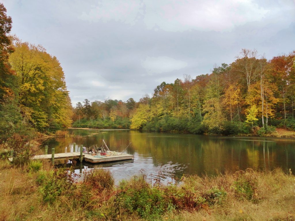 Skye Pond at Mahockney, autumn 2012